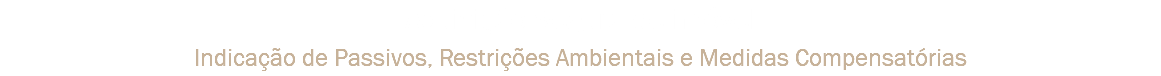 Aquisição Segura de imóvel Indicação de Passivos, Restrições Ambientais e Medidas Compensatórias